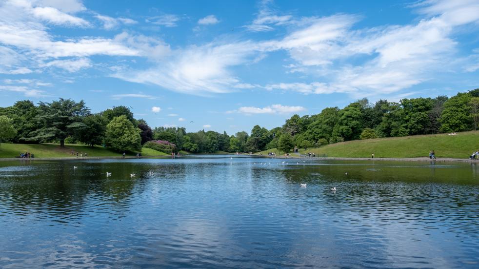 sefton park